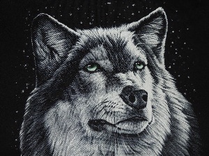 Крутые рисунки волка