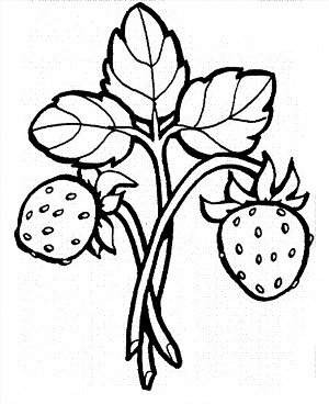 Простые рисунки ягод