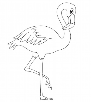 Рисунки раскраски фламинго