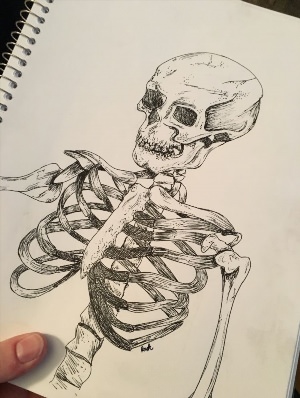 Рисунки кости ручкой