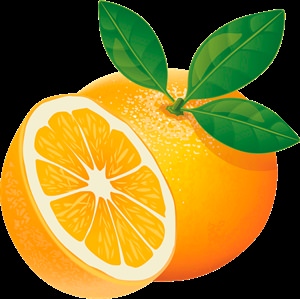Клипарт апельсин