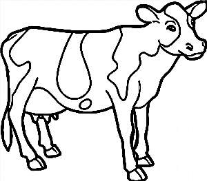 Корова контурный рисунок
