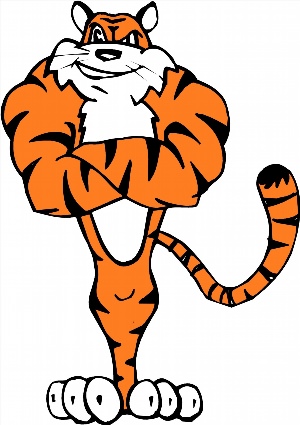 Тигр рисунок прикольный