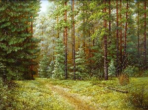 Иллюстрация лес