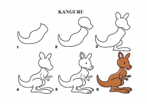 Как нарисовать кенгуру