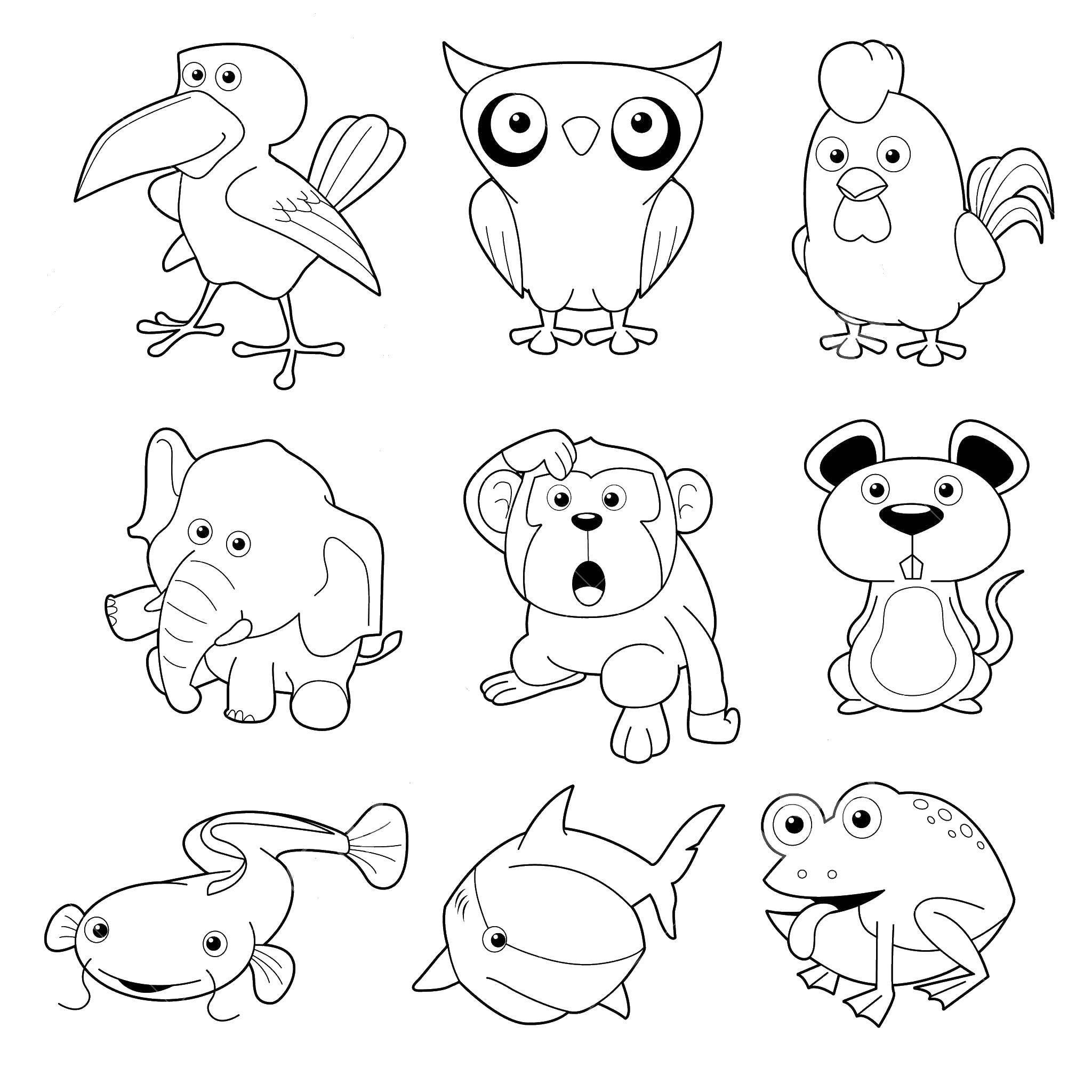 Легкие рисунки маленькие животные. Картинки для раскрашивания животные. Раскраски животные для детей. Милые раскраски. Раскраска зверята для детей.