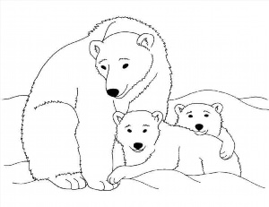 Рисунки раскраски белый медведь