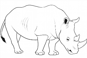 Носорог простой рисунок