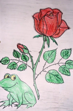 Рисунок на тему жаба и роза