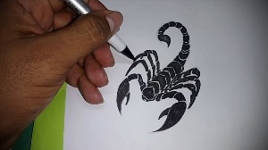 Рисунки скорпион ручкой