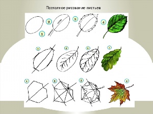 Как нарисовать листок