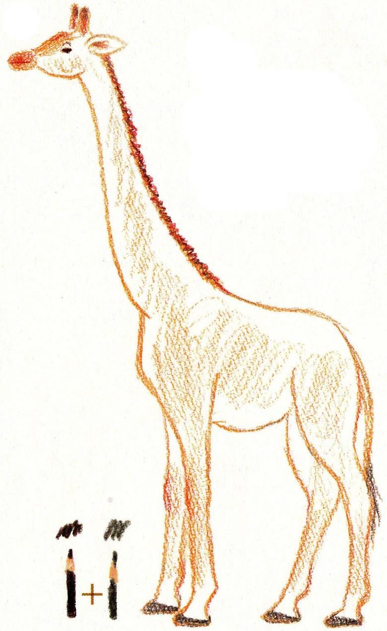 На рисунке изображен жираф. Рисование жирафа. Рисунок жирафа. Как нарисовать жирафа. Жираф для рисования детям.