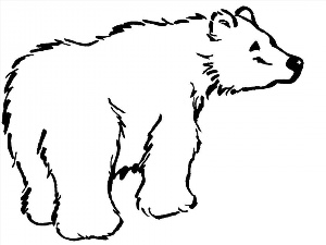 Рисунок контурный медведь