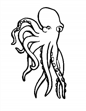 Контурный рисунок осьминога