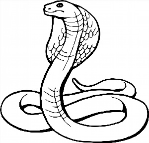 Рисунки раскраски змея