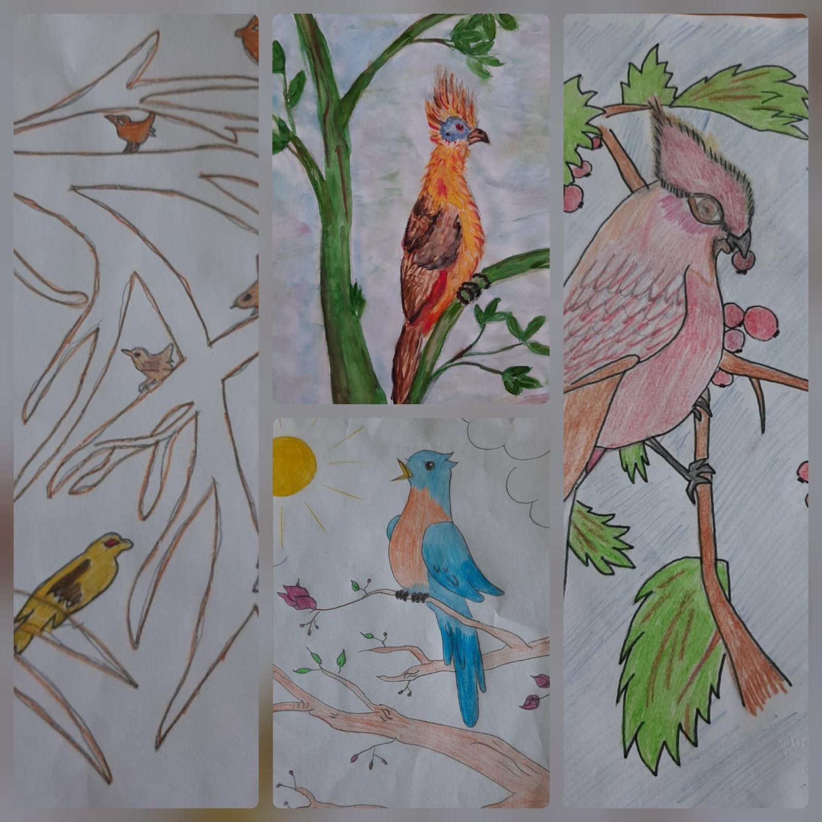 Рисунок к дню птиц. 1 Апреля день птиц. День птиц рисунки детей. Рисунок птицы на конкурс. Рисунок на тему Международный день птиц.