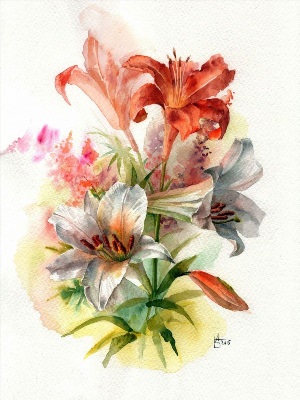 Рисунок лилии акварелью