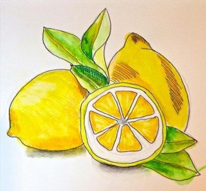 Красивые рисунки лимонов