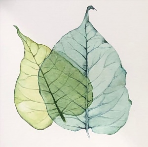 Рисунок акварелью листья