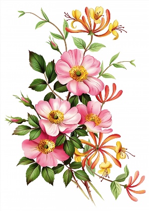 Иллюстрация цветок