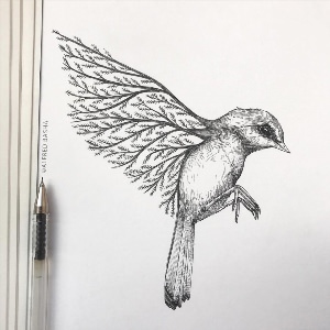 Рисунки птичка ручкой