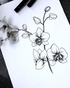 Орхидея рисунок тату