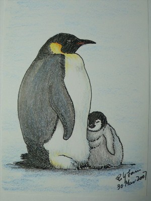 Красивые рисунки пингвинов