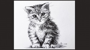 Рисунки котенка ручкой