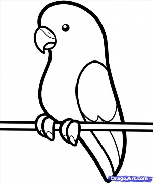 Легкий рисунок попугай