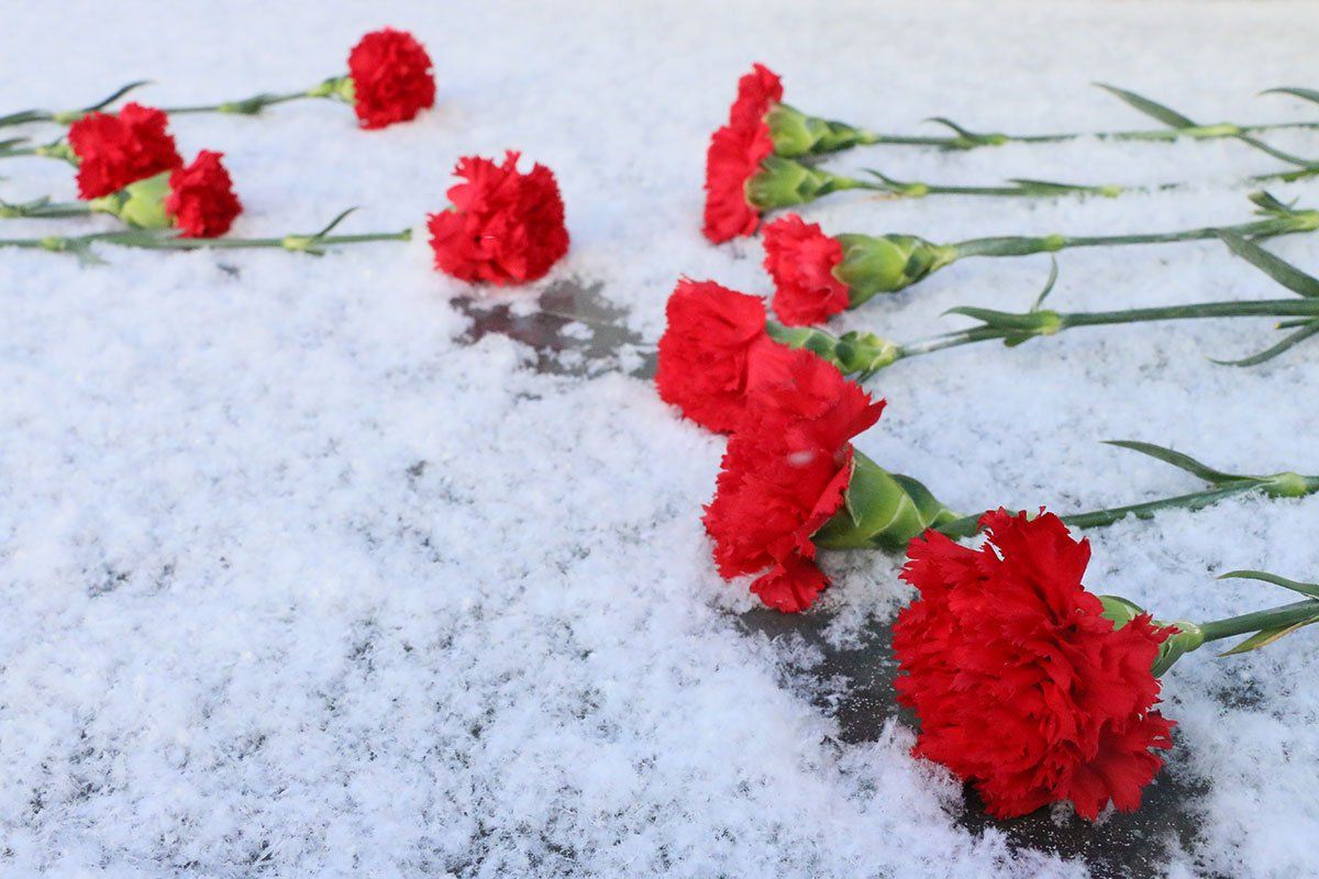 20 января 19 февраля. День освобождения. Цветок освобождения. День освобождения Воронежа. Открытка день освобождения от фашистов.