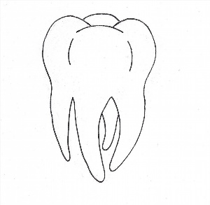 Как нарисовать зуб