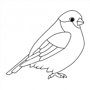 Рисунки раскраски птица снегирь