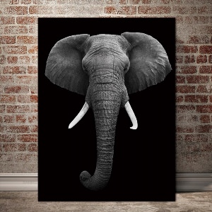 Постер слон