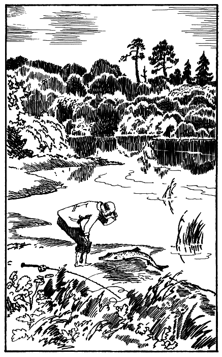 Паустовский ловил рыбу. Паустовский клад иллюстрация. Паустовский Клепиковские озера\.