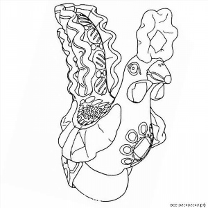 Рисунки раскраски дымковский петушок