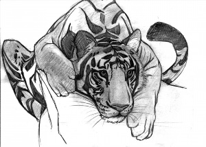 Сложный рисунок тигра