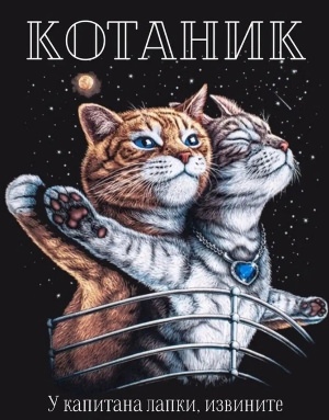 Постер кот