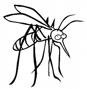 Рисунки раскраски комар