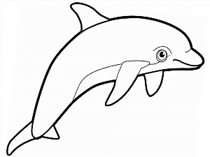 Рисунки раскраски дельфин