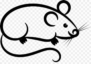 Мышка векторный рисунок