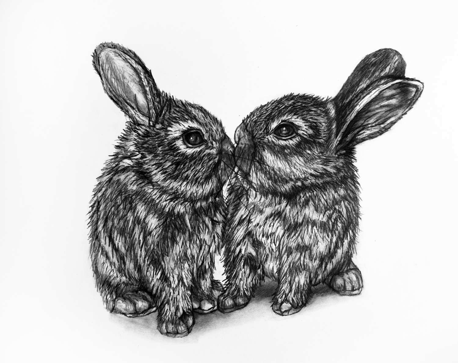 Зайка ручкой. Красивый кролик рисунок. Кролик рисунок карандашом. Кролик скетч. Ручка заяц.