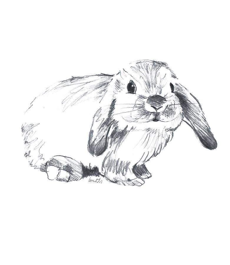 Заяц рисунок. Кролик набросок. Кролик скетч. Заяц рисунок ручкой. Зайка ручкой
