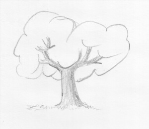 Легкий рисунок дуб