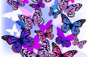 Бабочки фон рисунок
