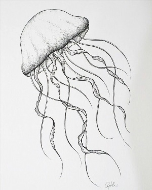 Медуза рисунок простой