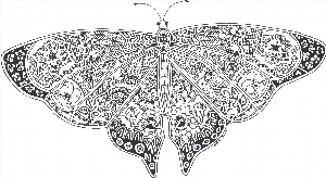 Бабочка мандала рисунок