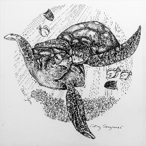 Рисунок черепаха тату