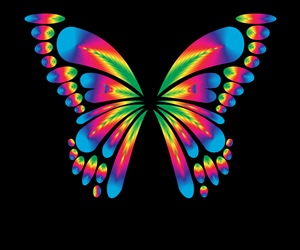 Бабочка красивая рисунок