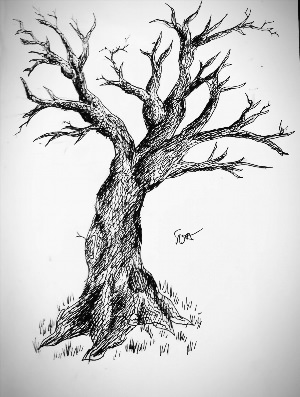 Рисунки дерево гелевой ручкой