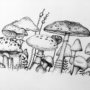 Рисунки ручкой грибы